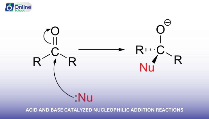 Lesson 04: Acid and Base Catalyzed Nucleophilic Addition Reactions